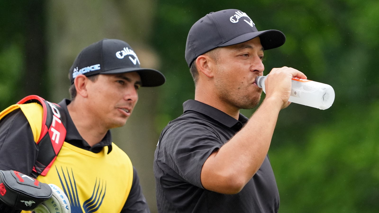 Xander Schauffele